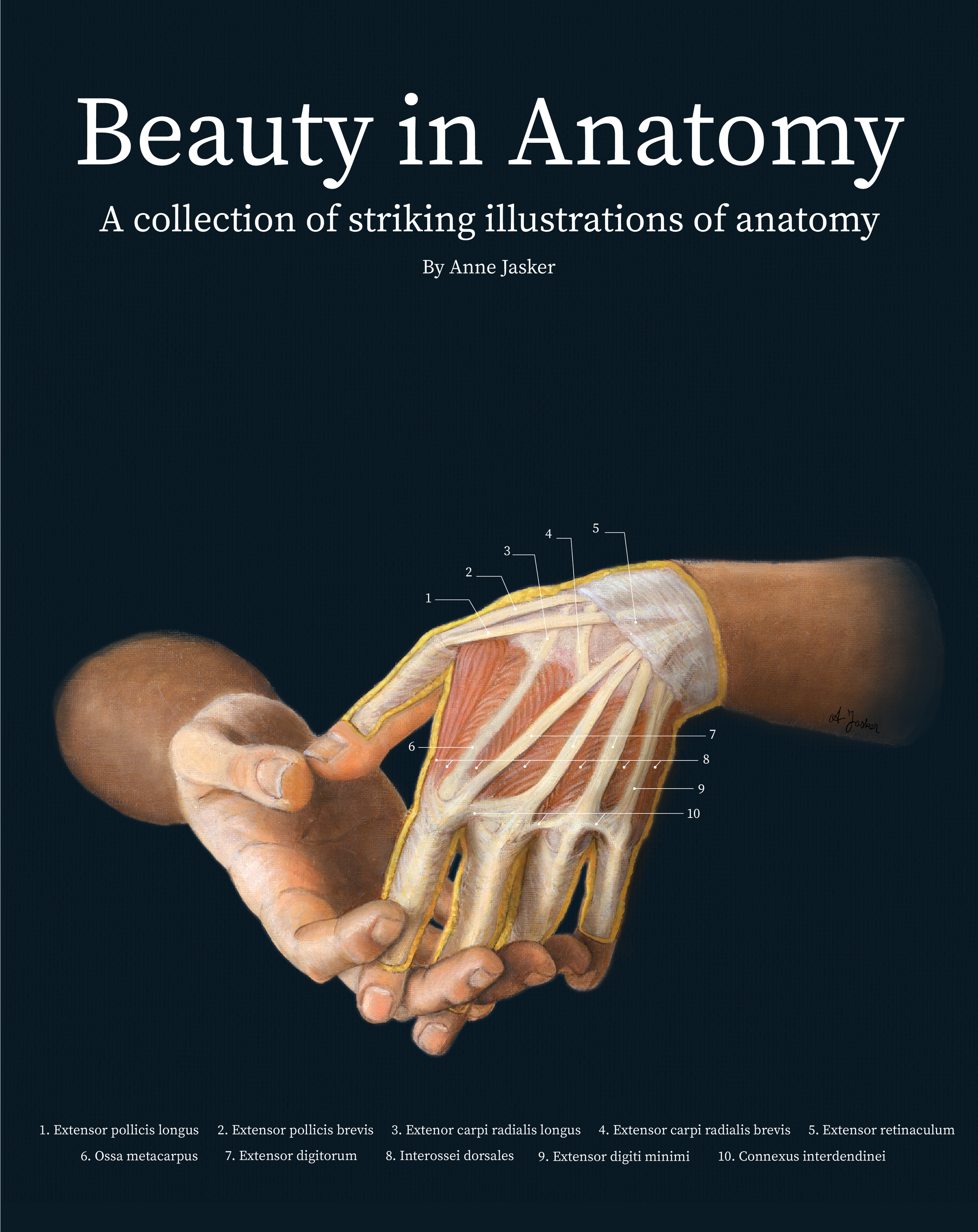 During my Master's degree I got the opportunity to dissect and study a human hand. I found this process very interesting and made this oil painting of the dorsal side of the hand, showing the tendons, muscles and fat. I created this mock-up of a book