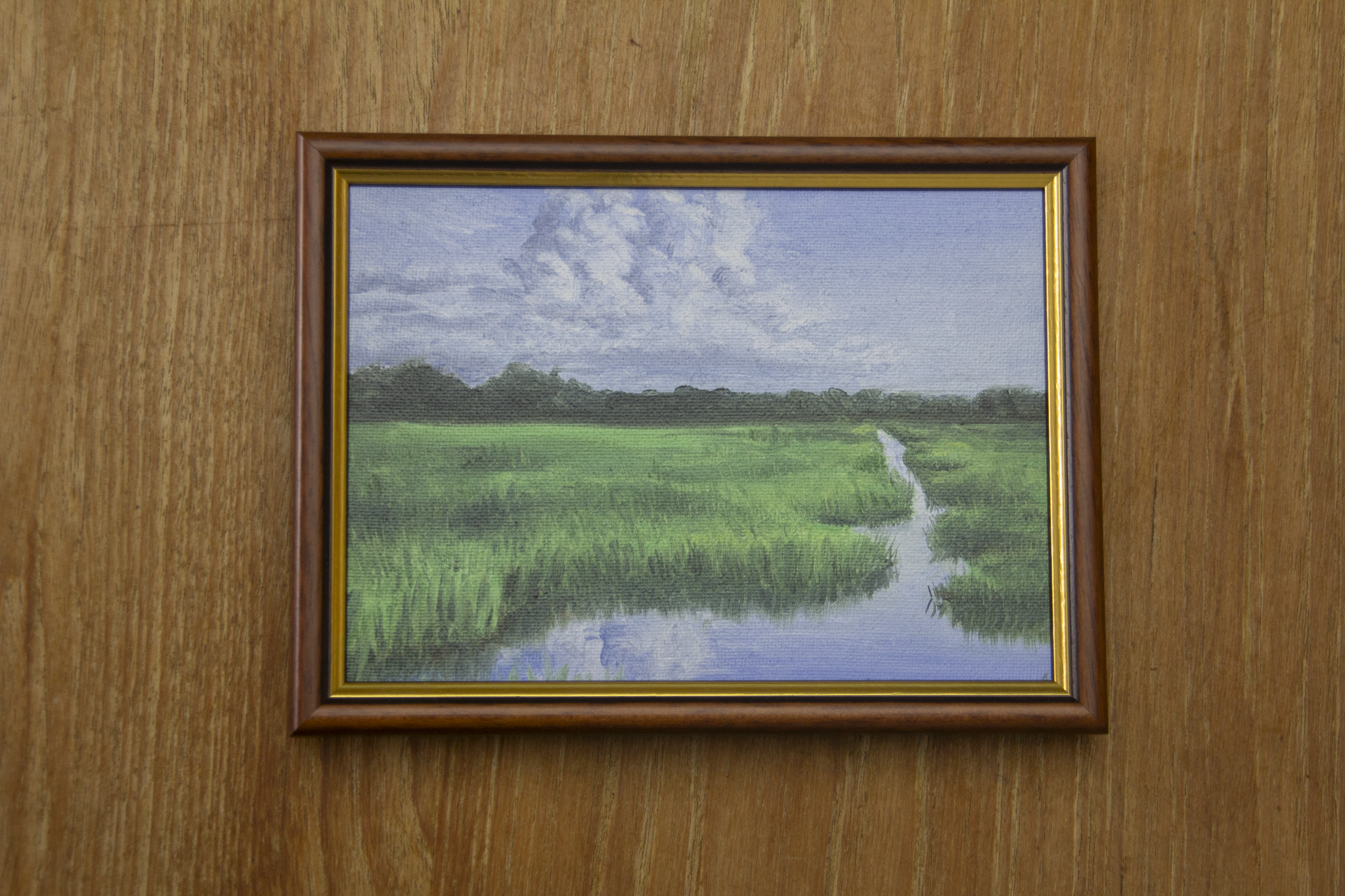 The Dutch Countryside