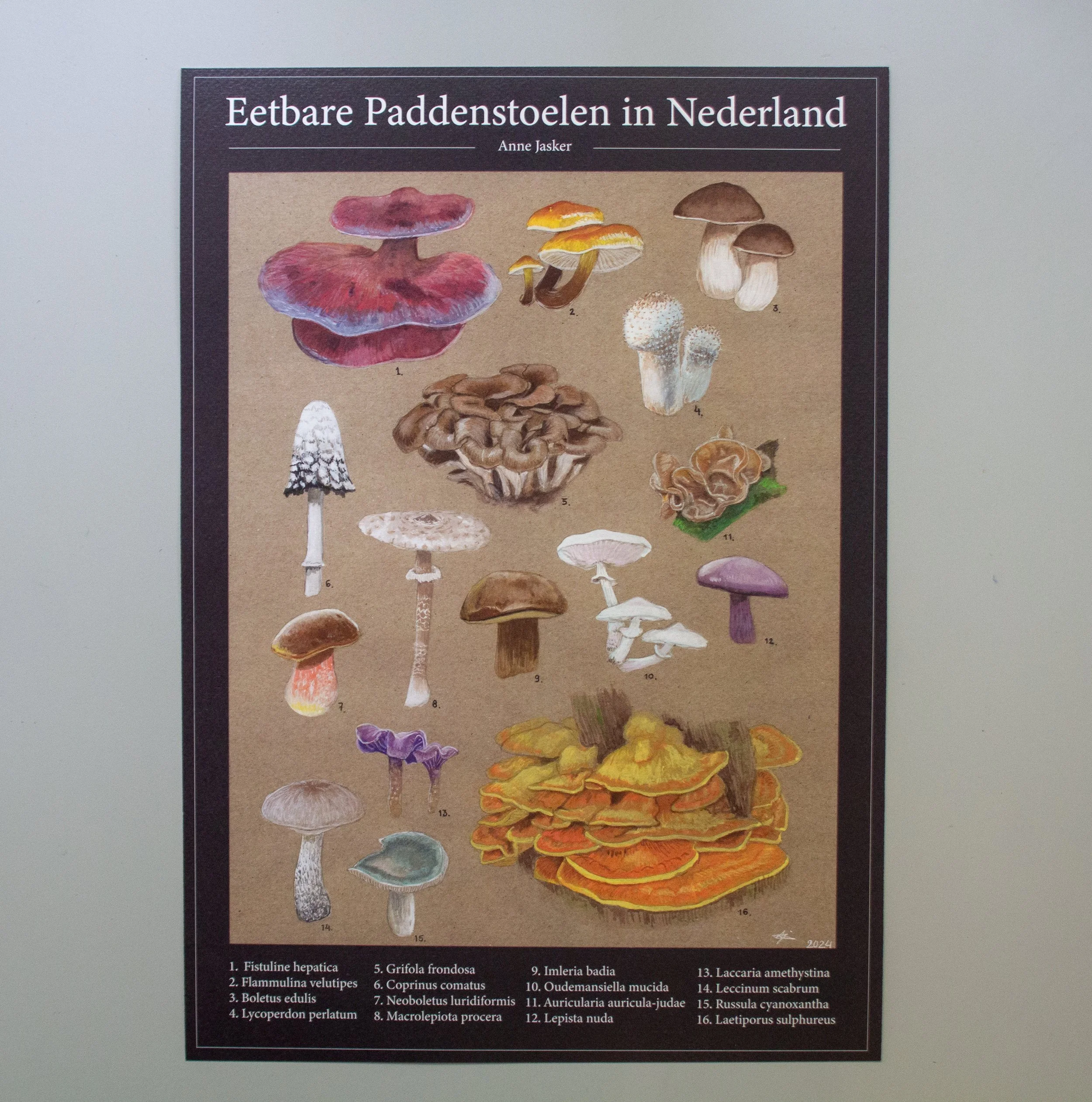 Mushroom Poster A3