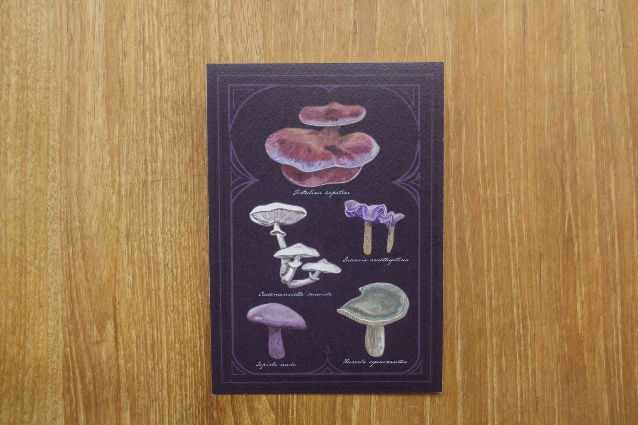 Magic Mushrooms Print A5