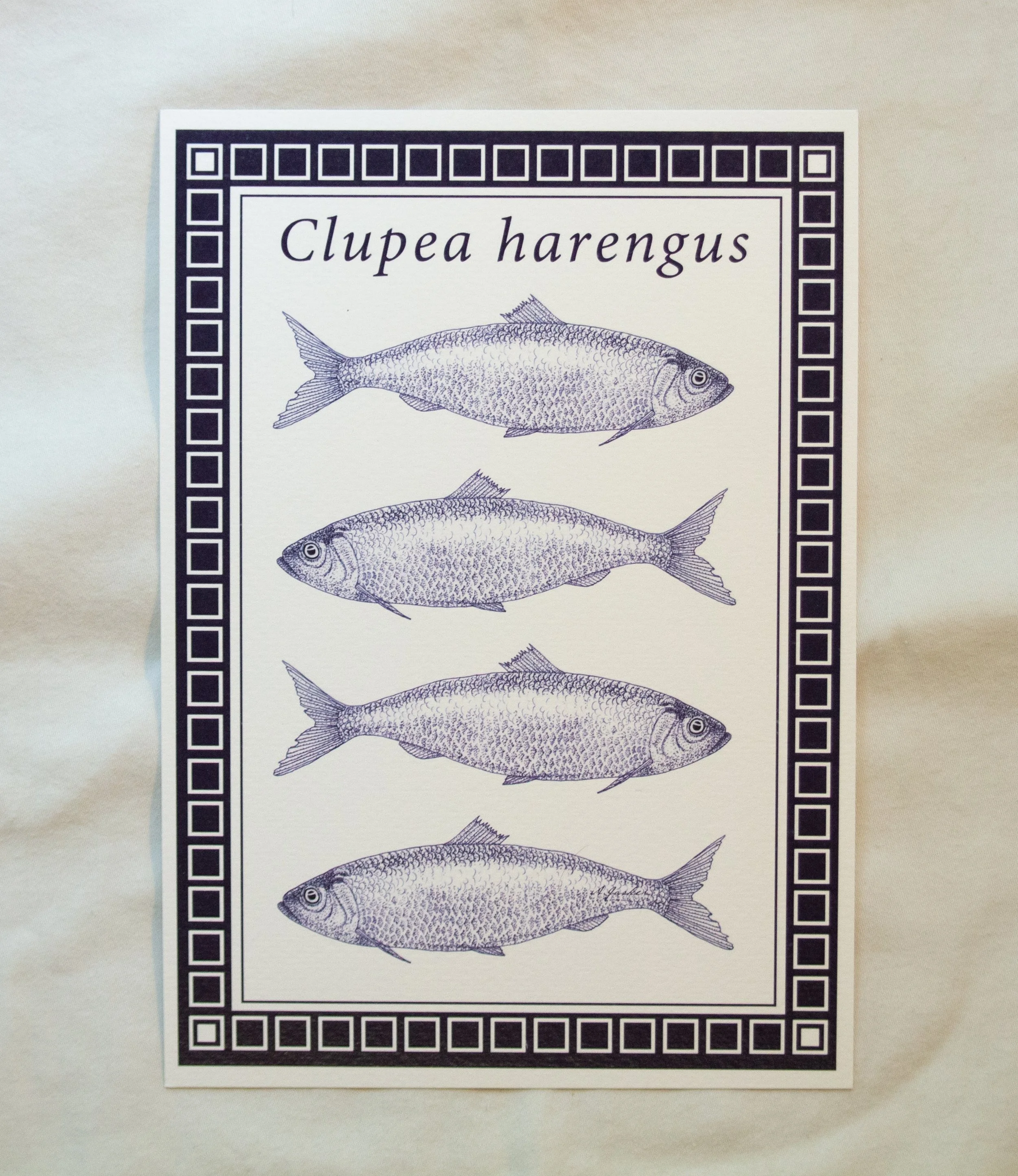 Blue Herring Print A5