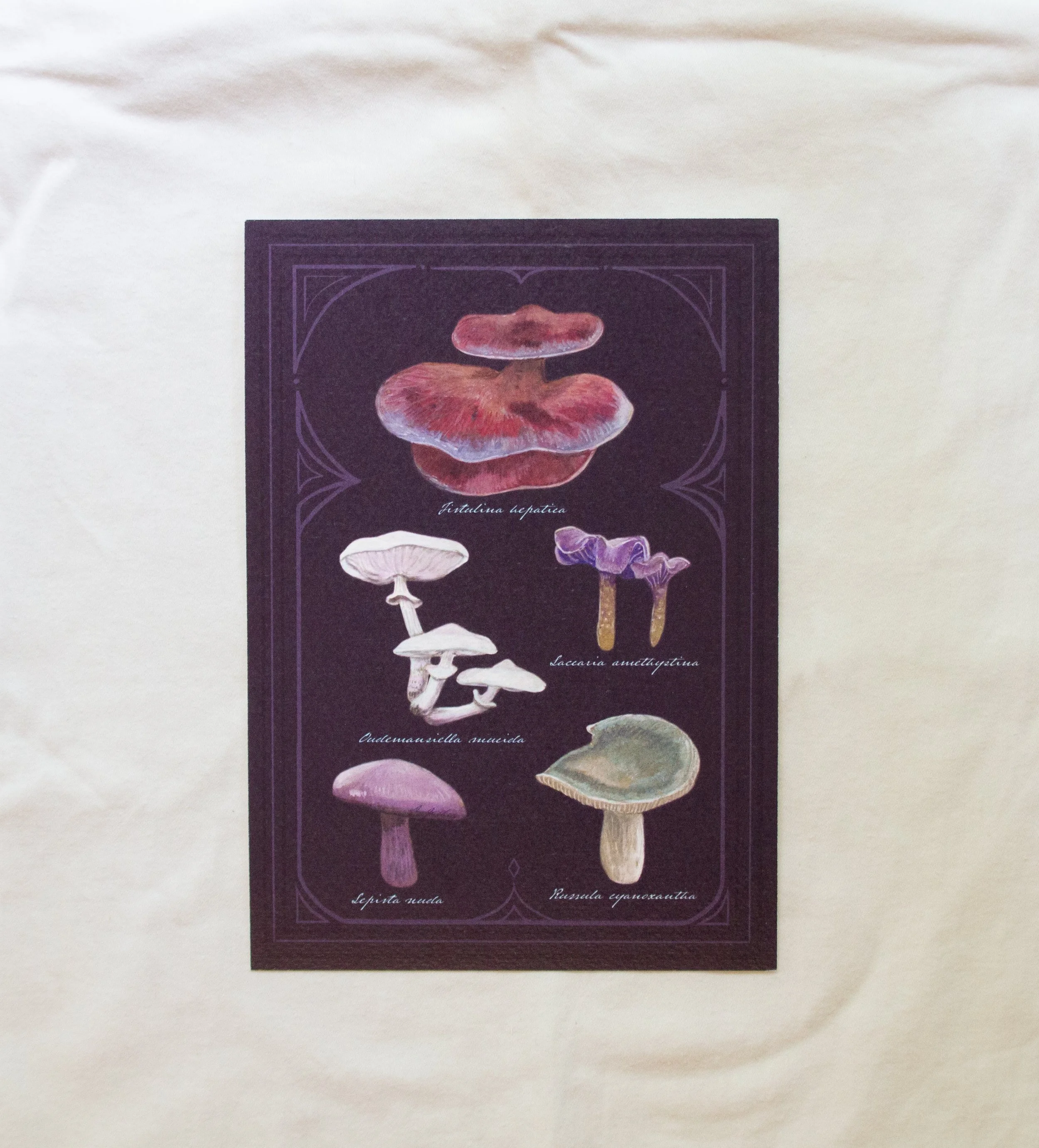 prints sep 2025-14.jpg