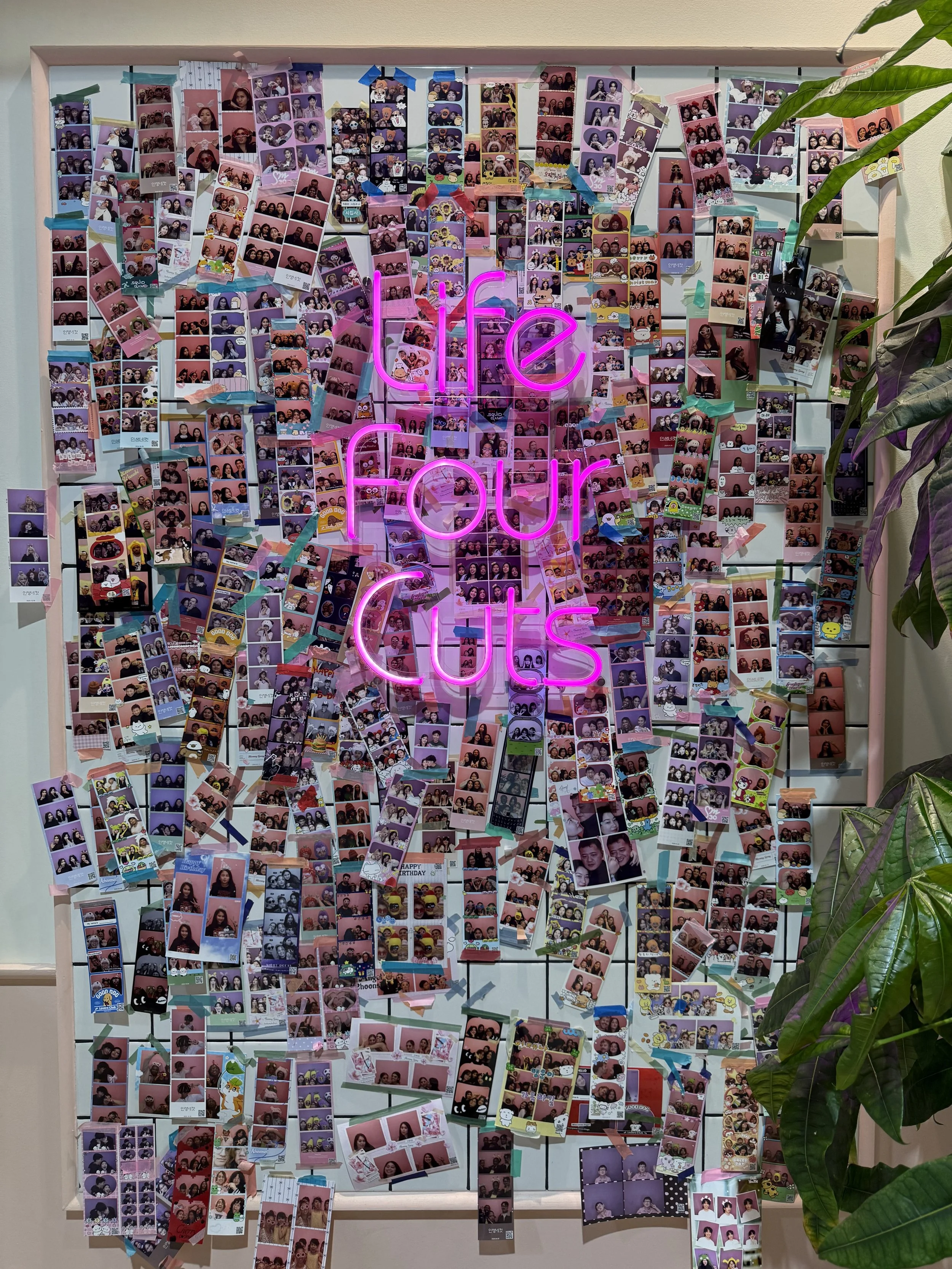 a wall of pictures