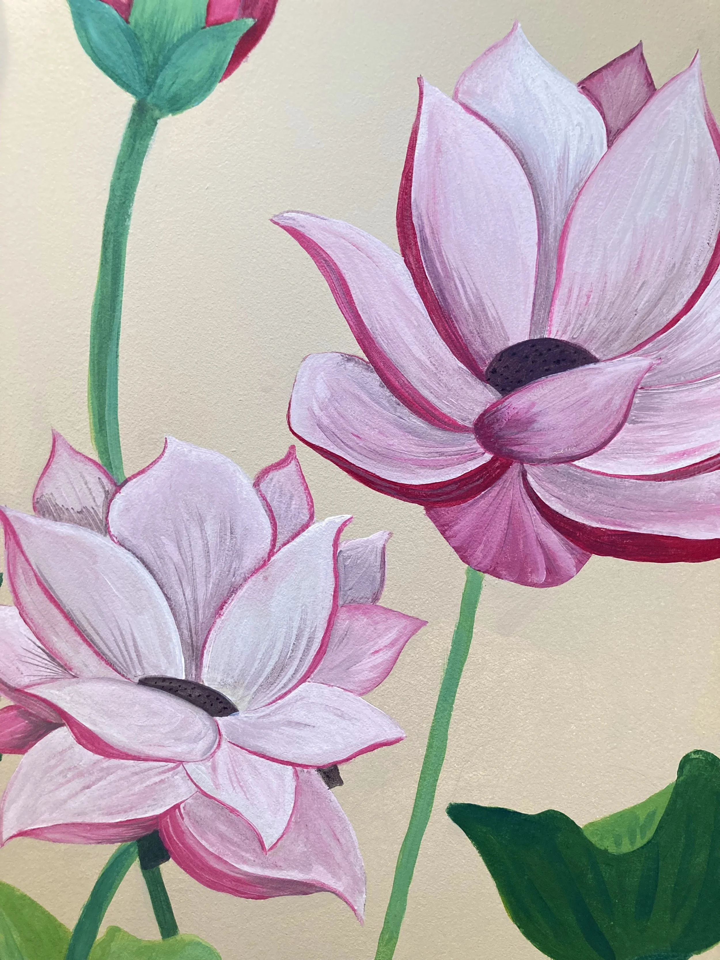 Close-up of pink and white lotus flowers with green stems and leaves on a light background.