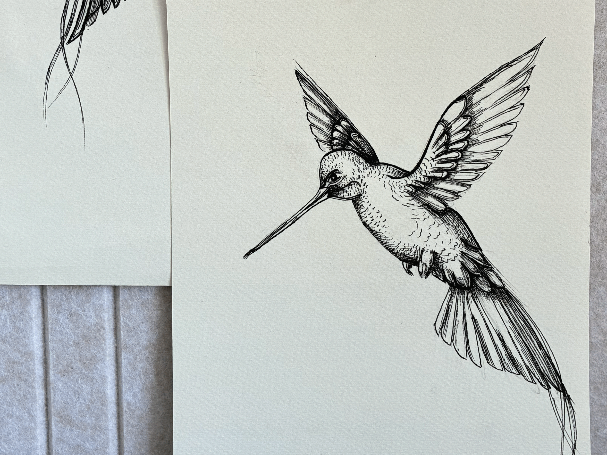 A detailed black and white drawing of a hummingbird with its wings spread, perched on a branch, on a piece of paper with other sketches nearby.