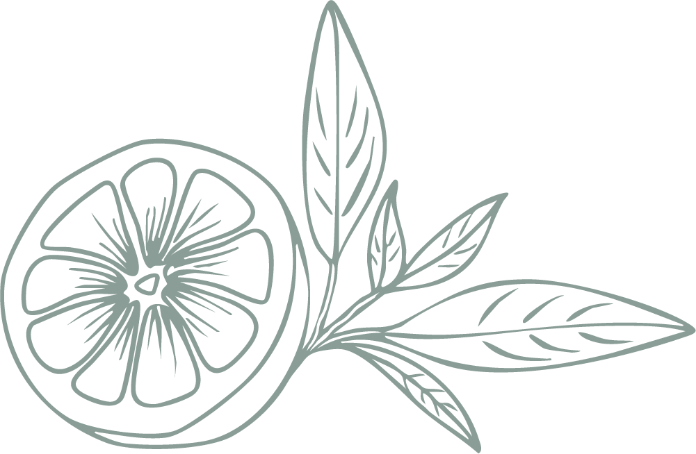 Gray outline drawing of a lemon slice with three lemon leaves.