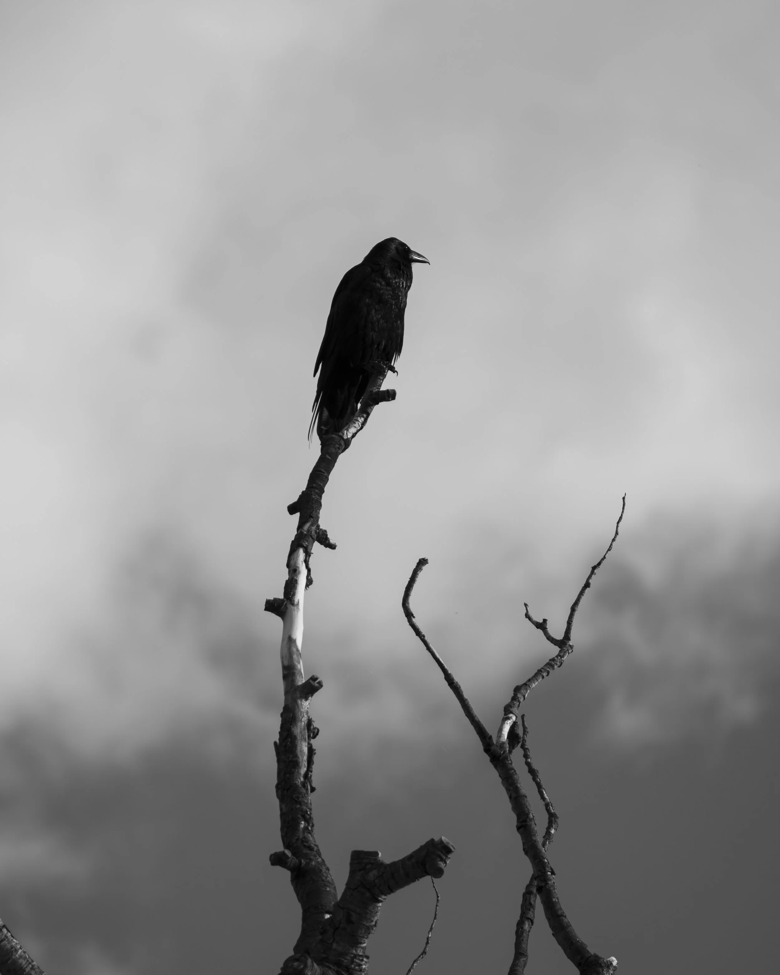 Crow, Colorado