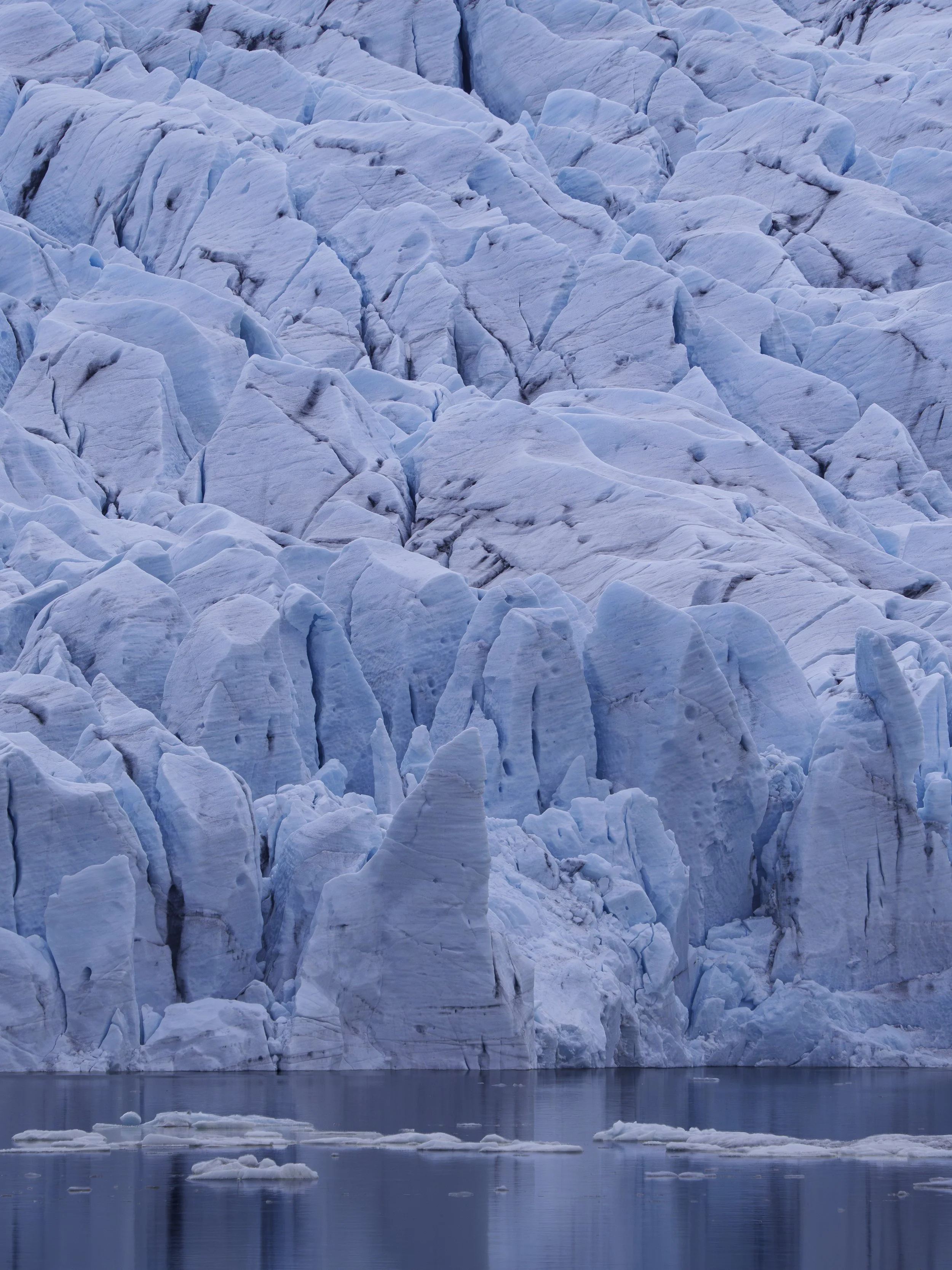 glacierBay-5.jpg