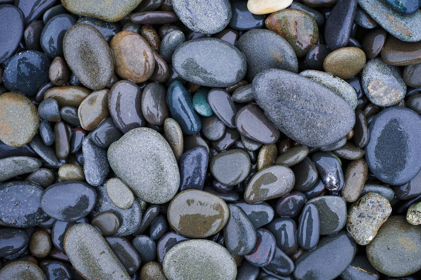 Seattle, Washington