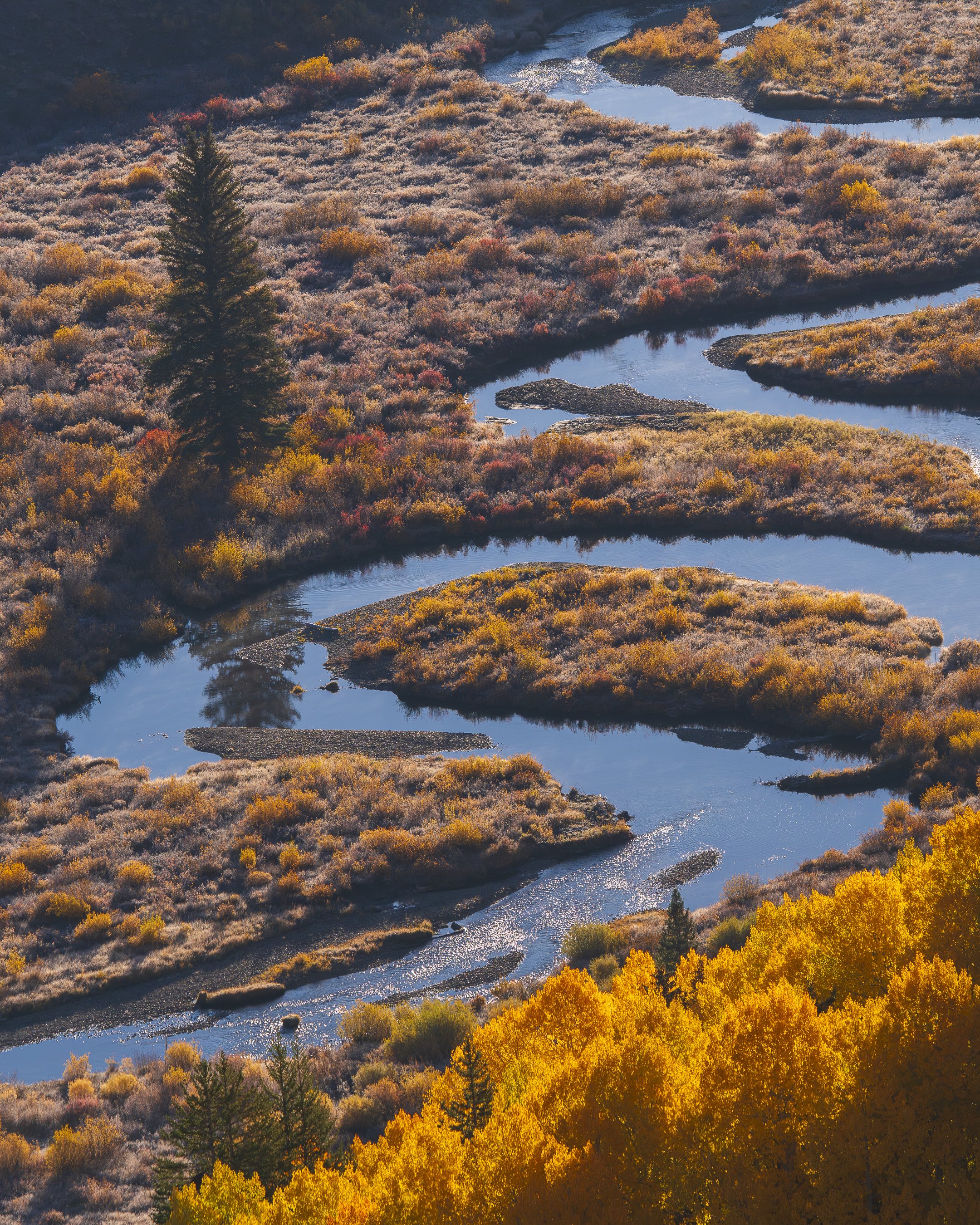 Crested Butte, Colorado