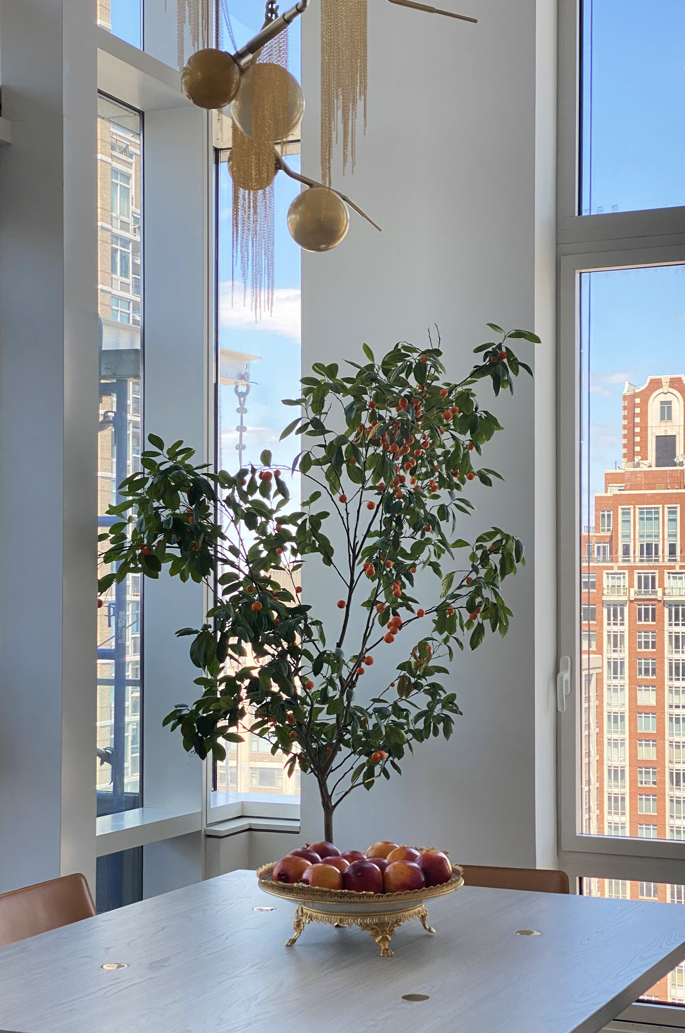 dining_windowtree1.png