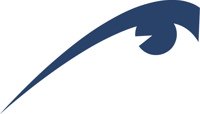 Primary Eye and Vision Care