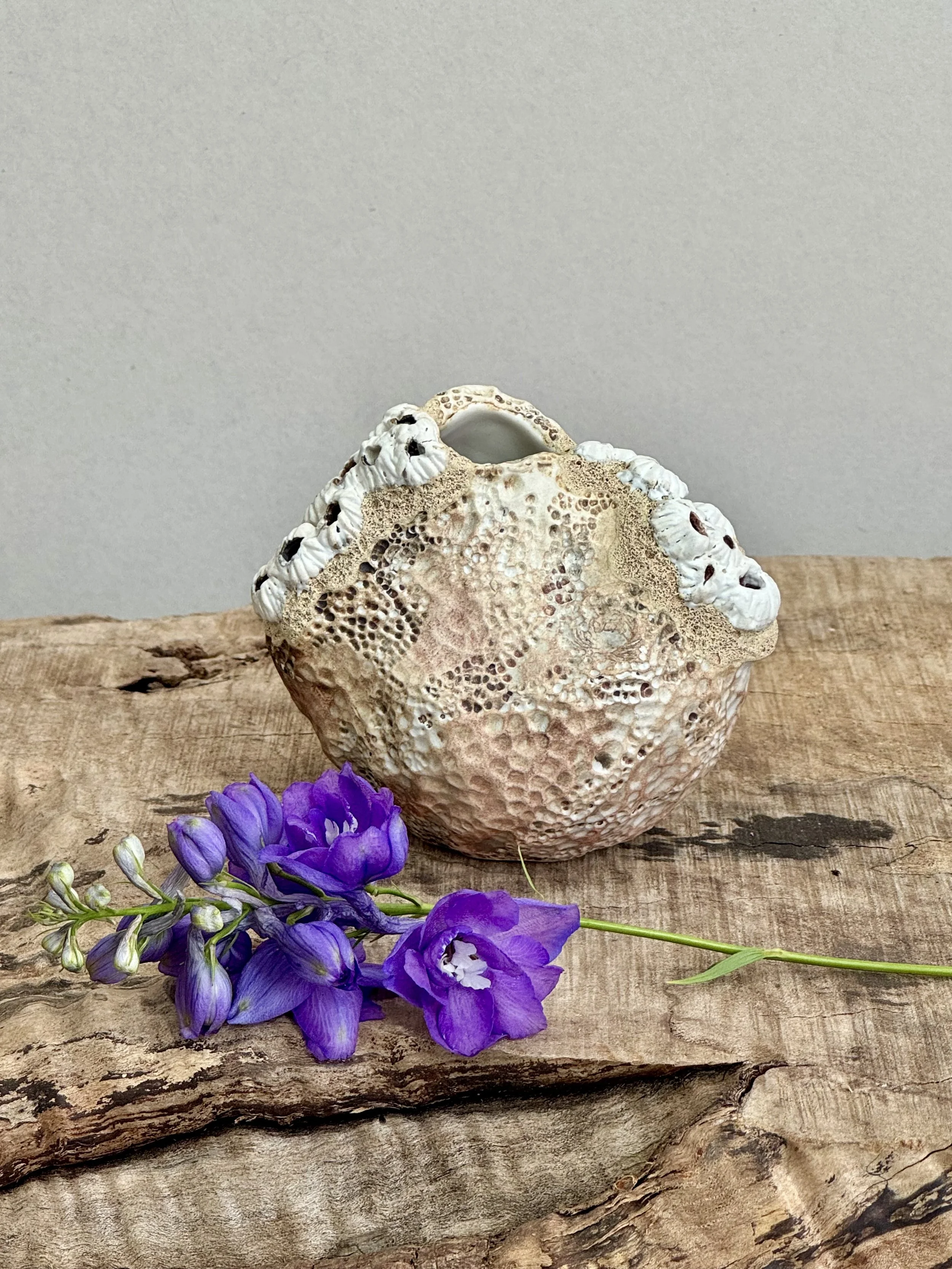 Sponge Bud Vase with Barnacles