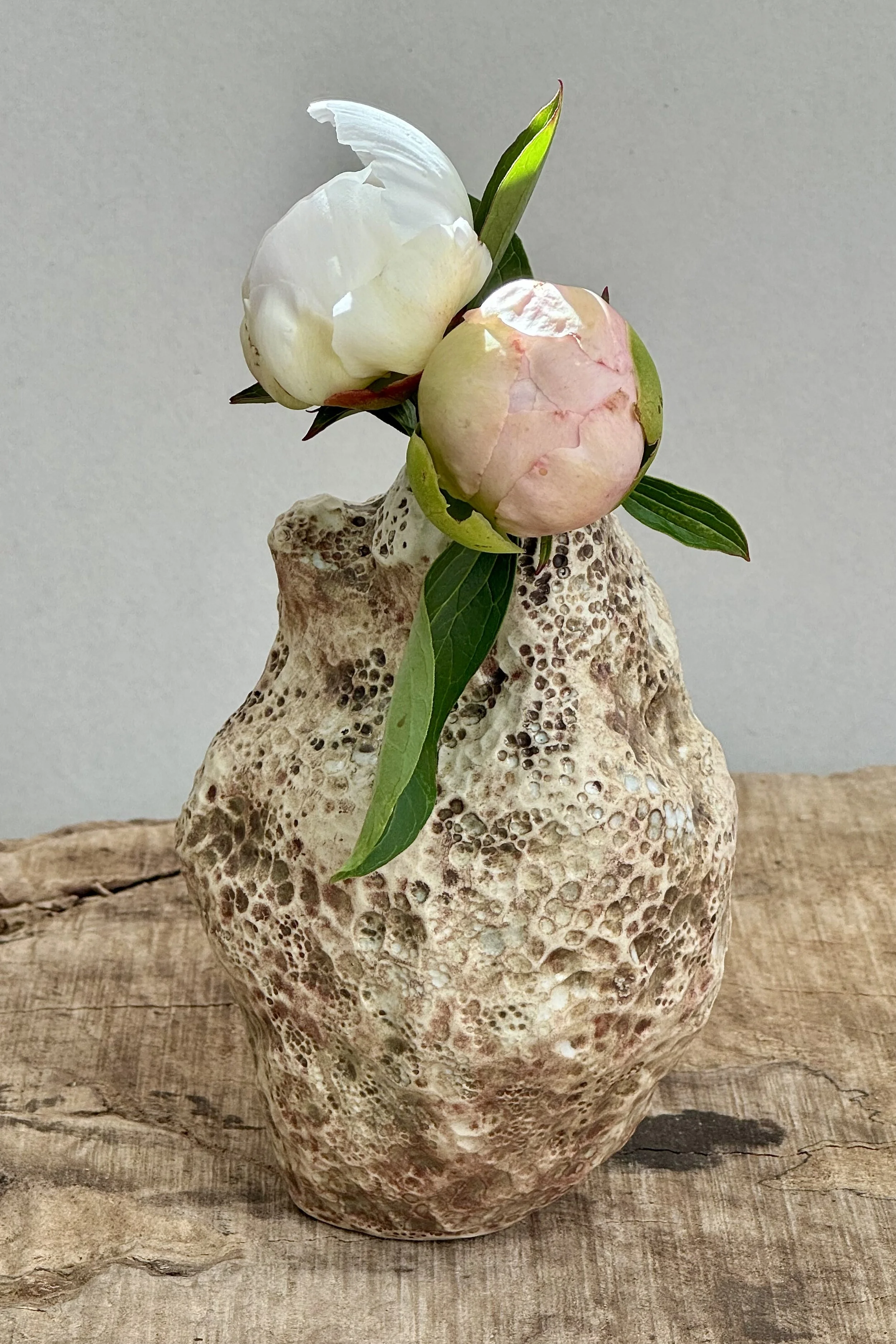 Sponge Vase
