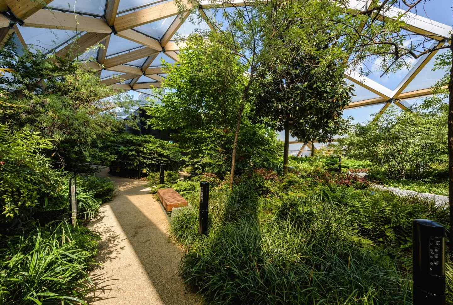 Indoor roof garden with a winding walking path, lush green plants, and trees under a geodesic glass and engineered timber ceiling.
