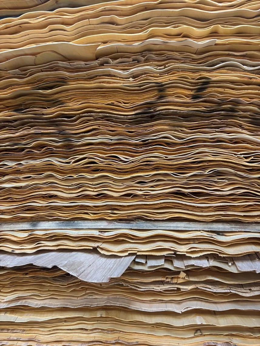 Close-up of a large stack of timber veneers for making plywood.