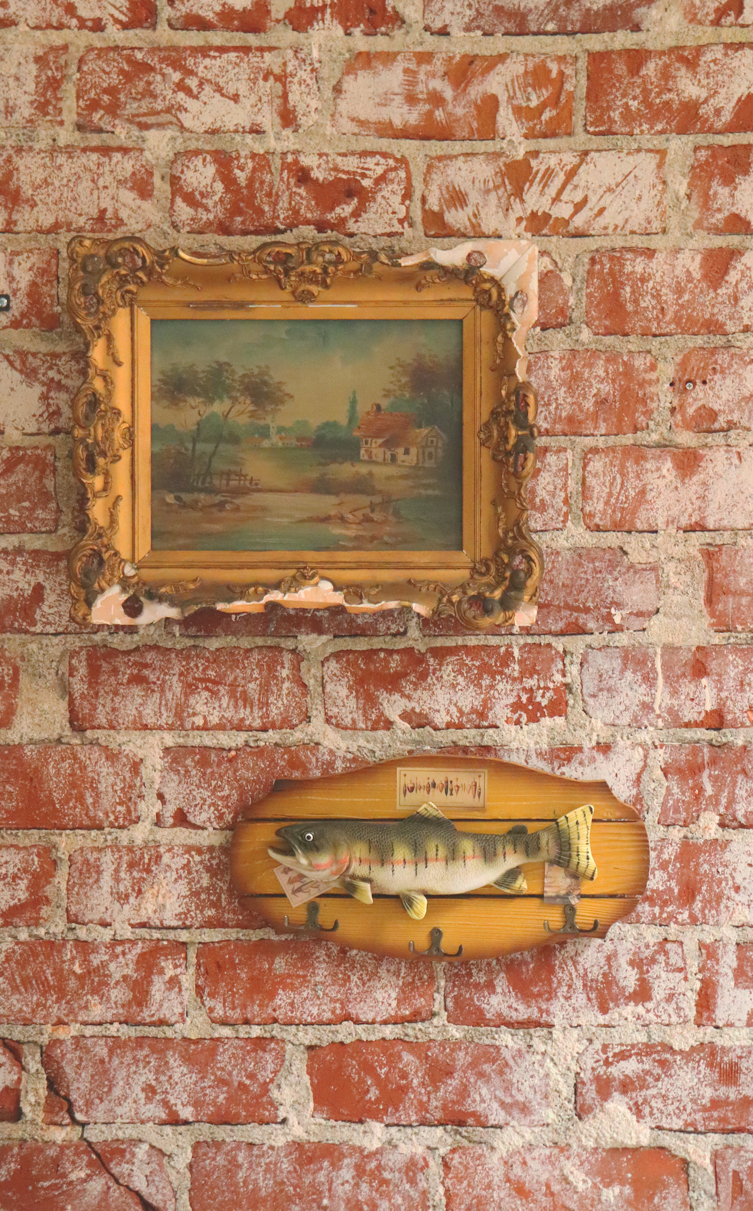 fish+wall.webp