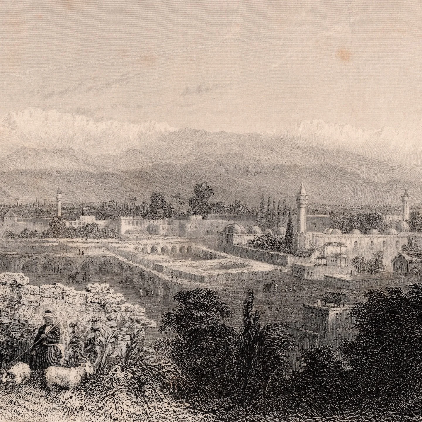 Scenic Vistas No. 1