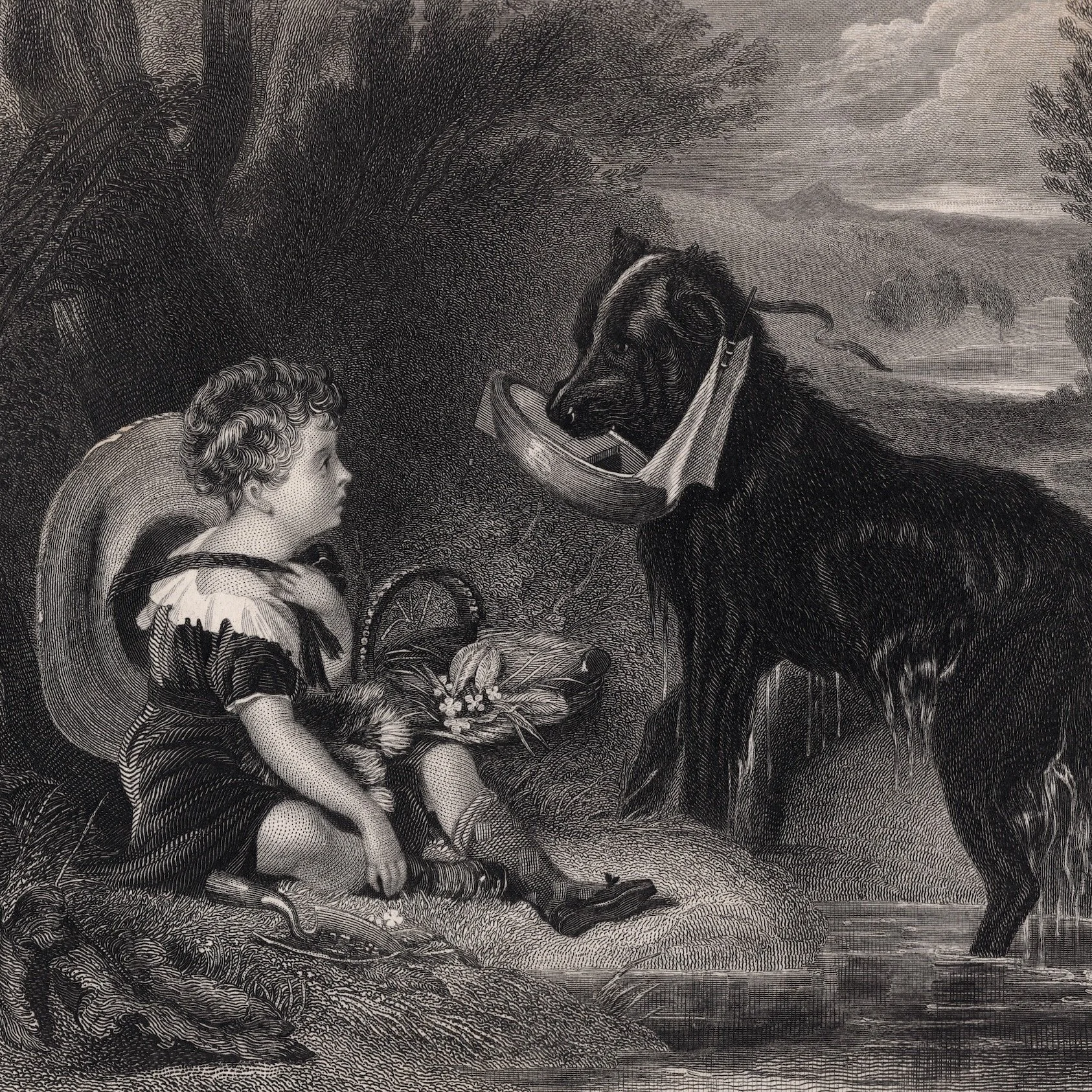 Dog &amp; Child