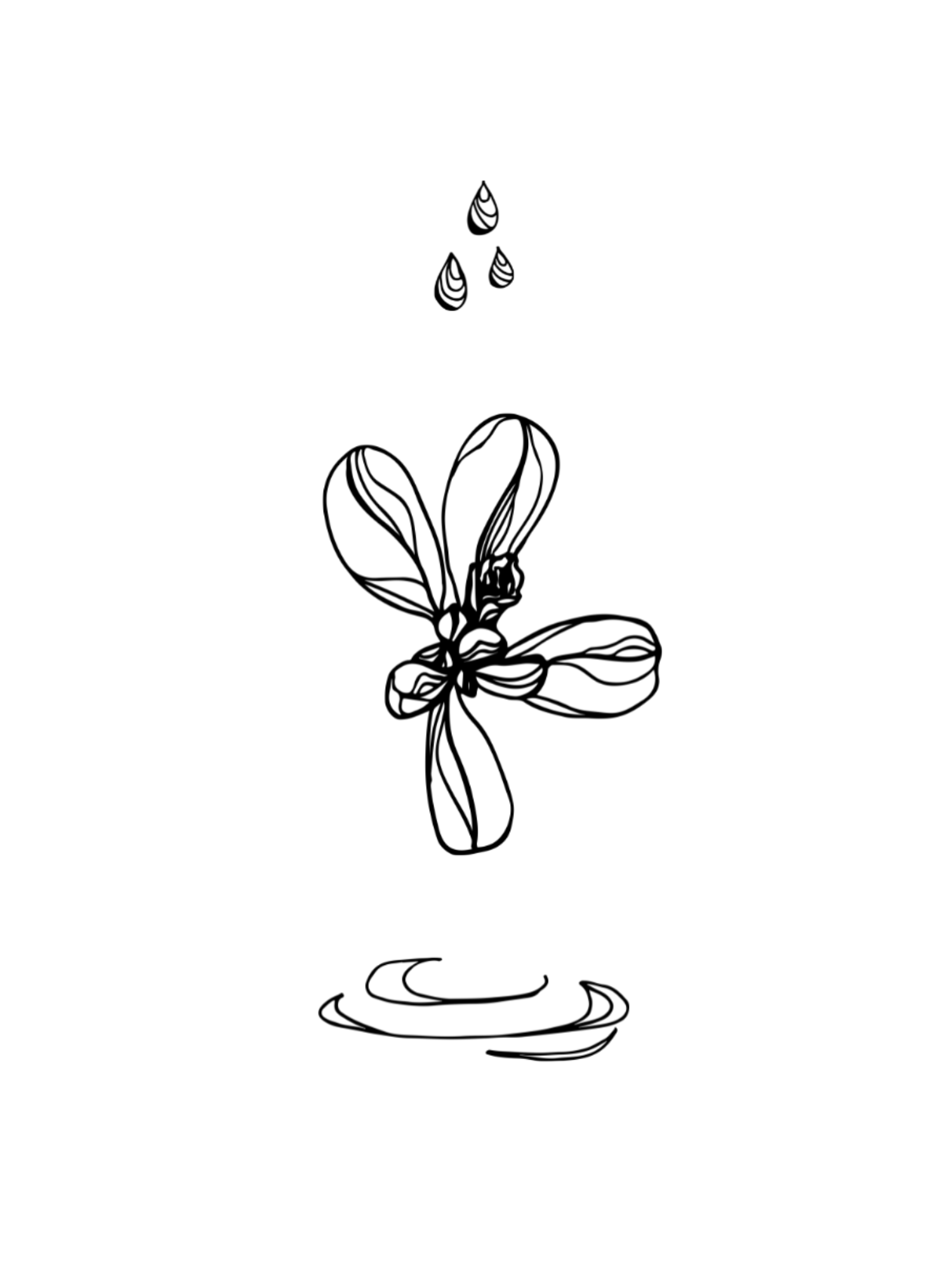 IMG_3291.png