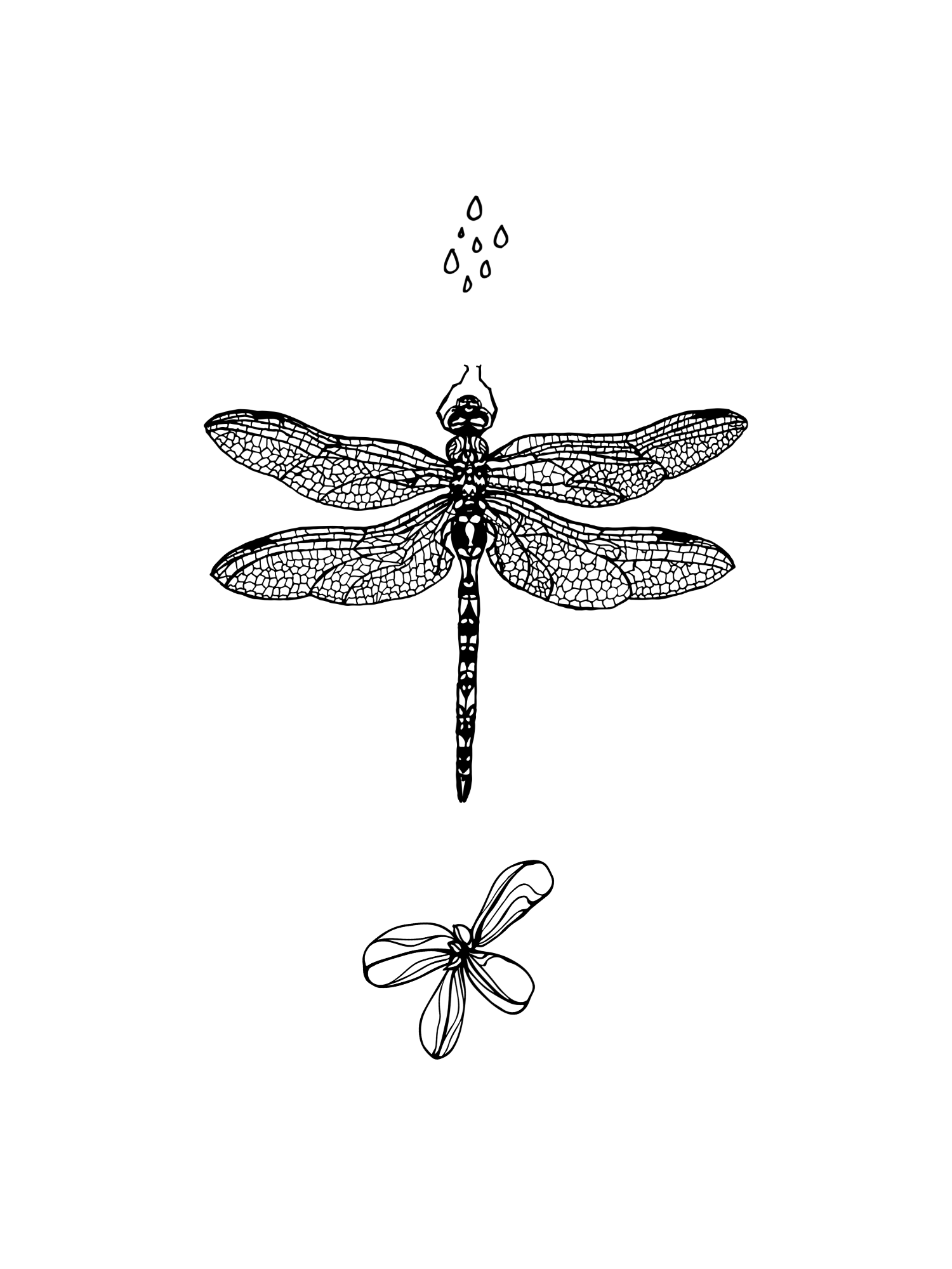 IMG_3292.png