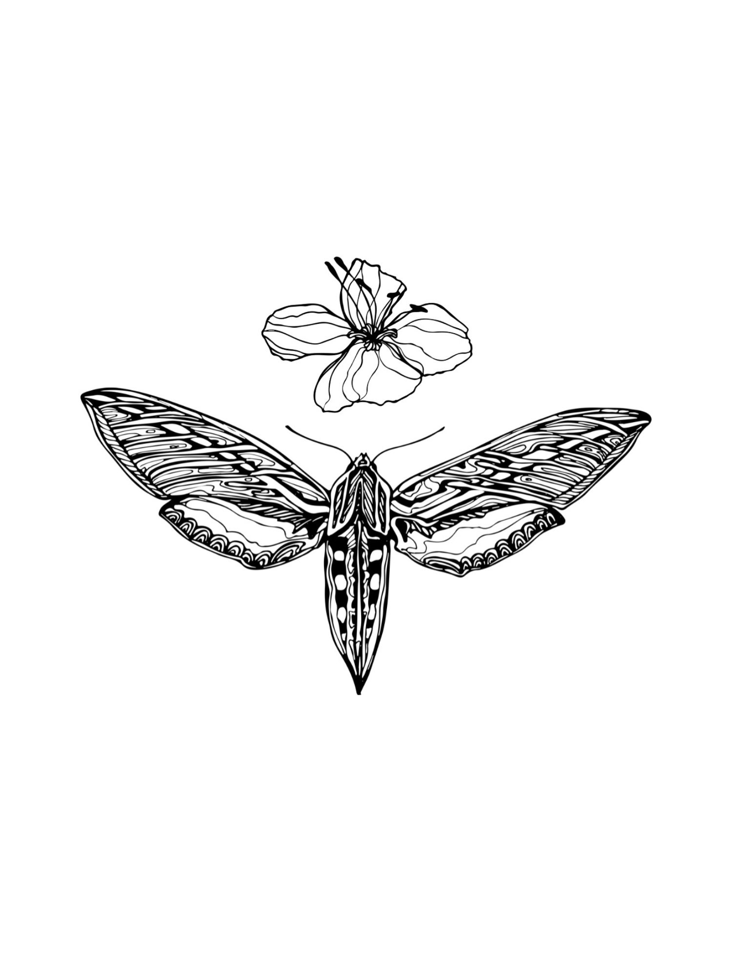 IMG_3290.png
