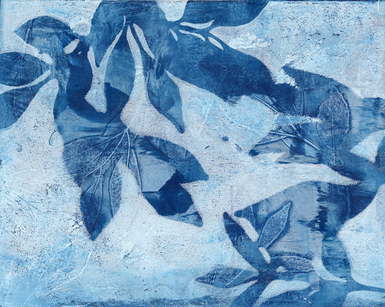 Monoprints