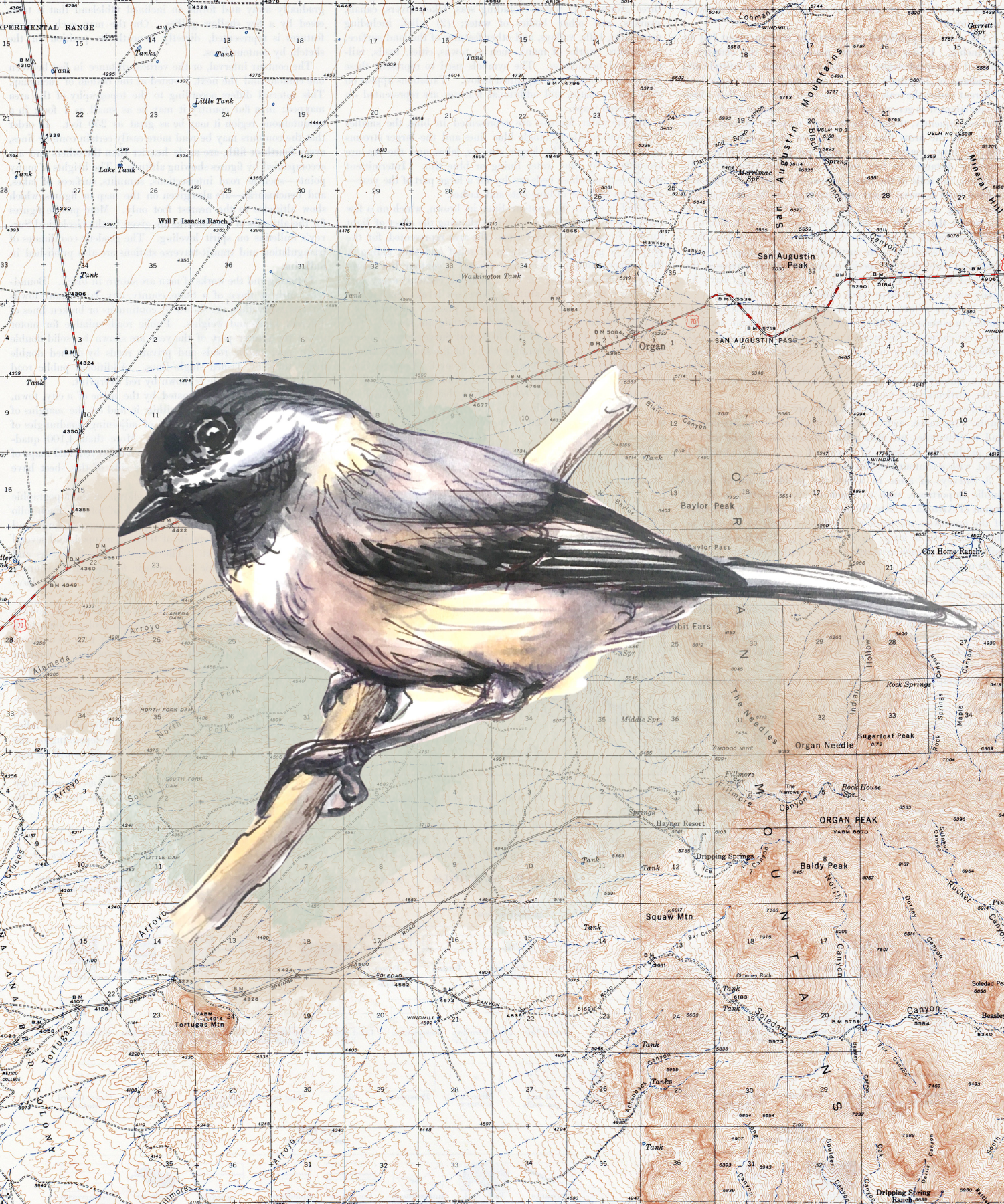 Illustration