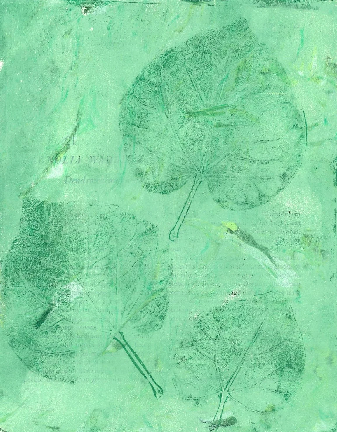 Trace copy.jpg