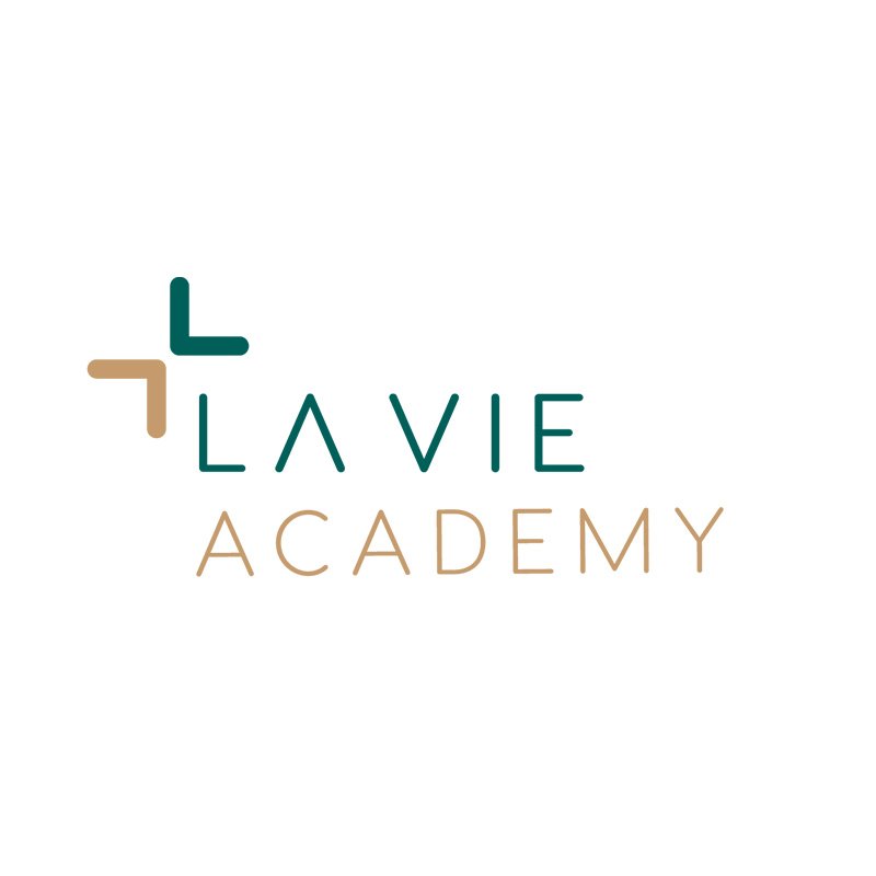 Logo for La Vie Academy with stylized letters and corner accent shapes