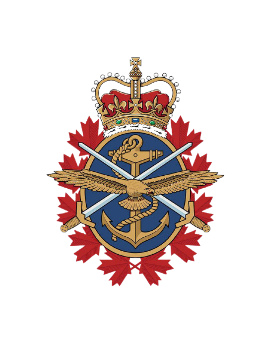 Military badge with a crown, an anchor, a wings emblem, and swords, surrounded by a red starburst.