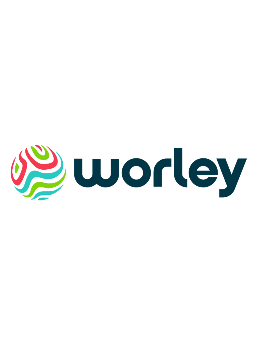 Colorful spherical logo with the text 'Worley' next to it