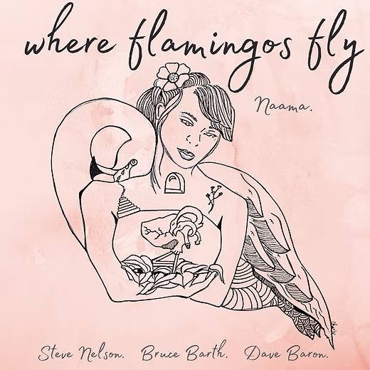 Where Flamingos Fly (2023)