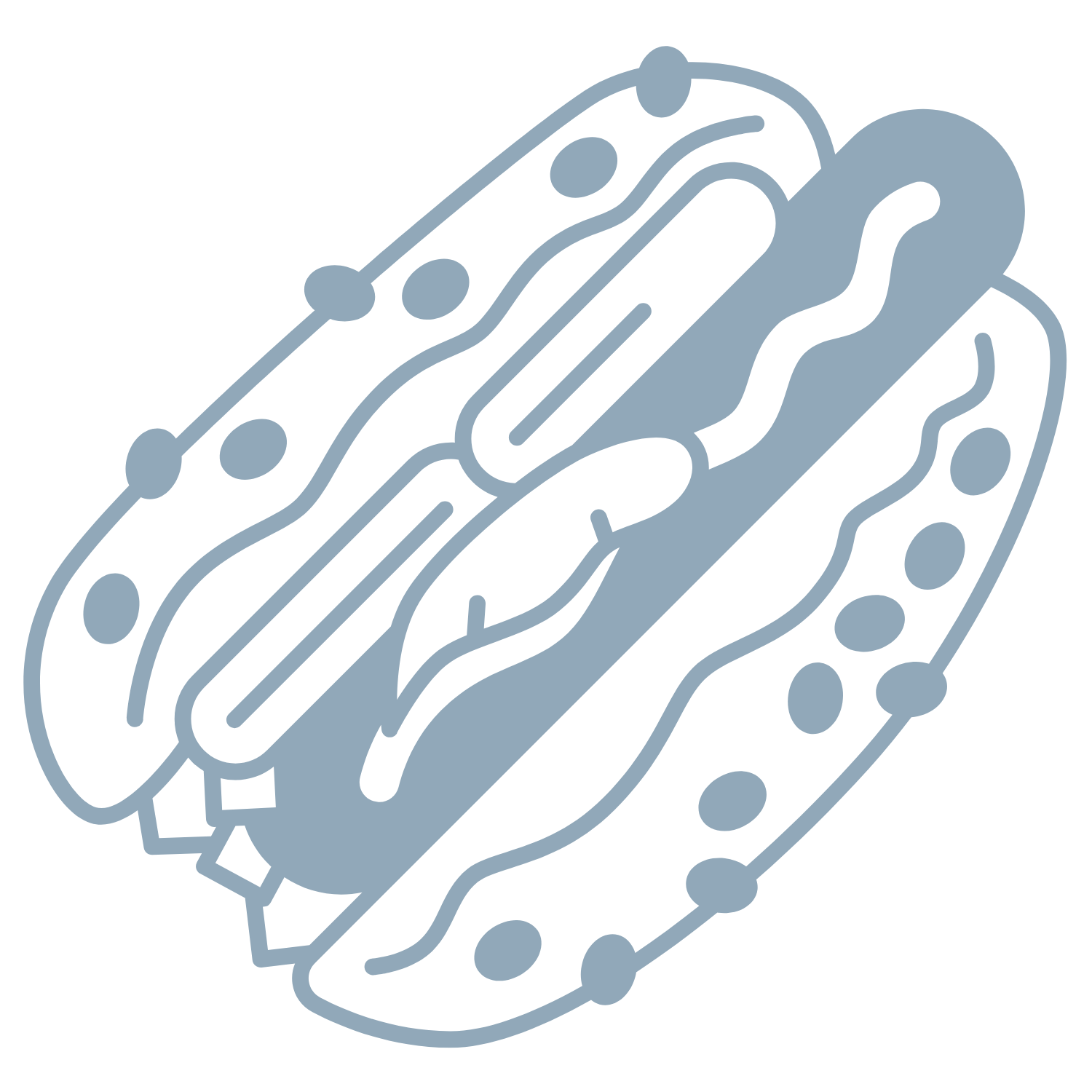 Illustration of a Chicago-style hot dog