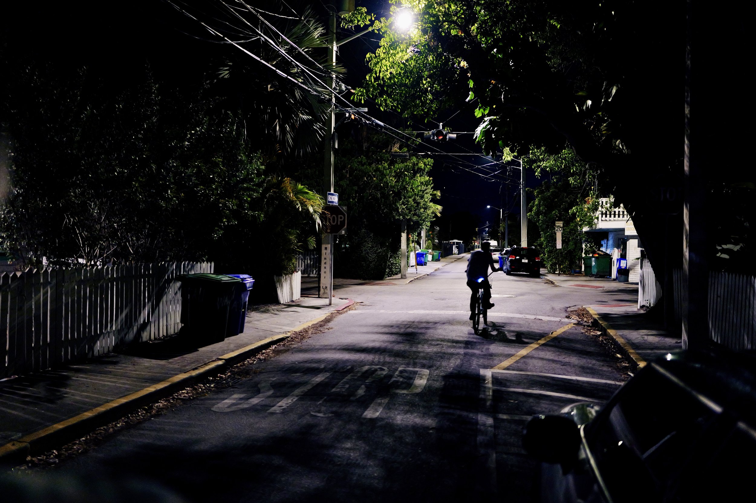 L1050759.jpg