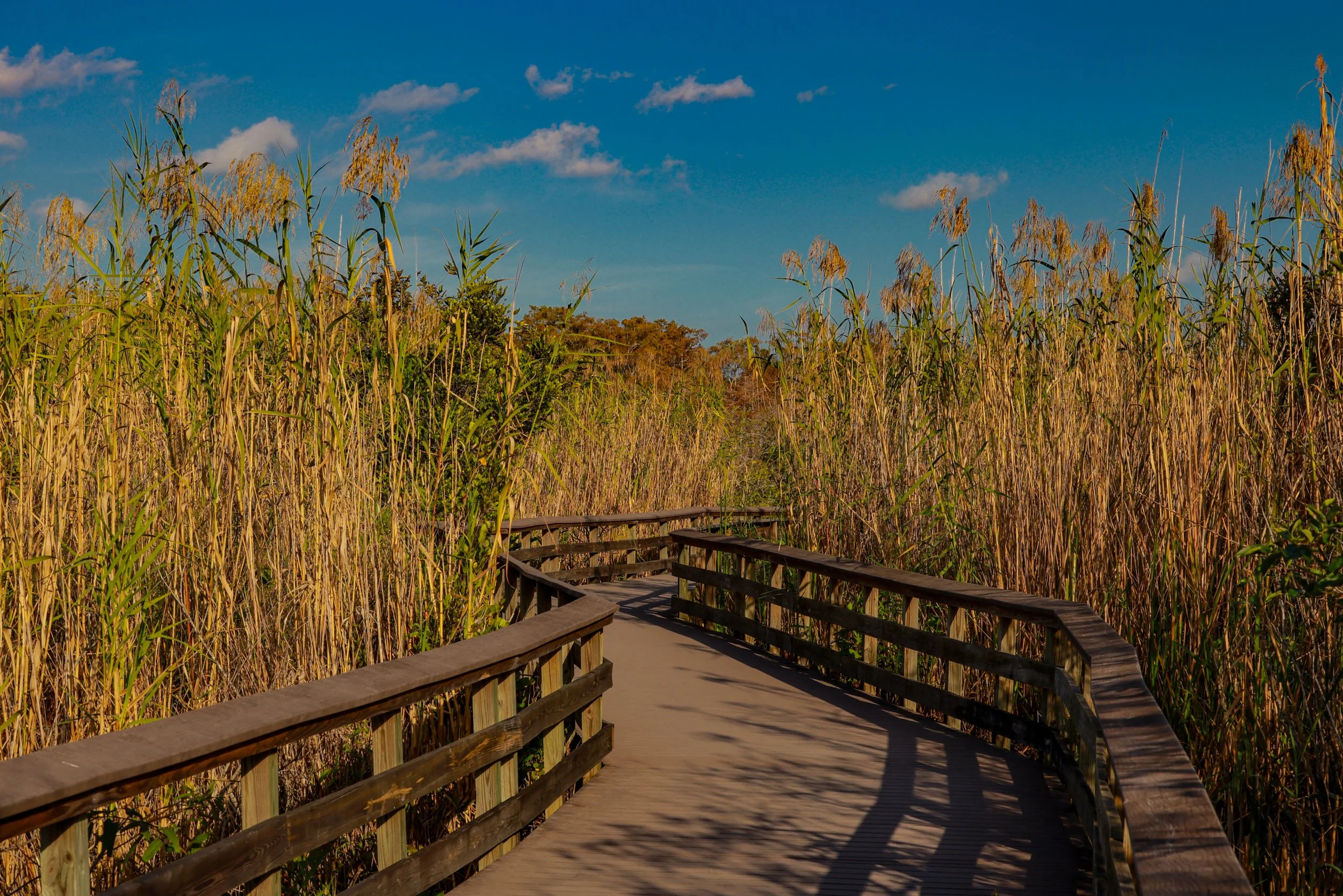 Image 6.JPG