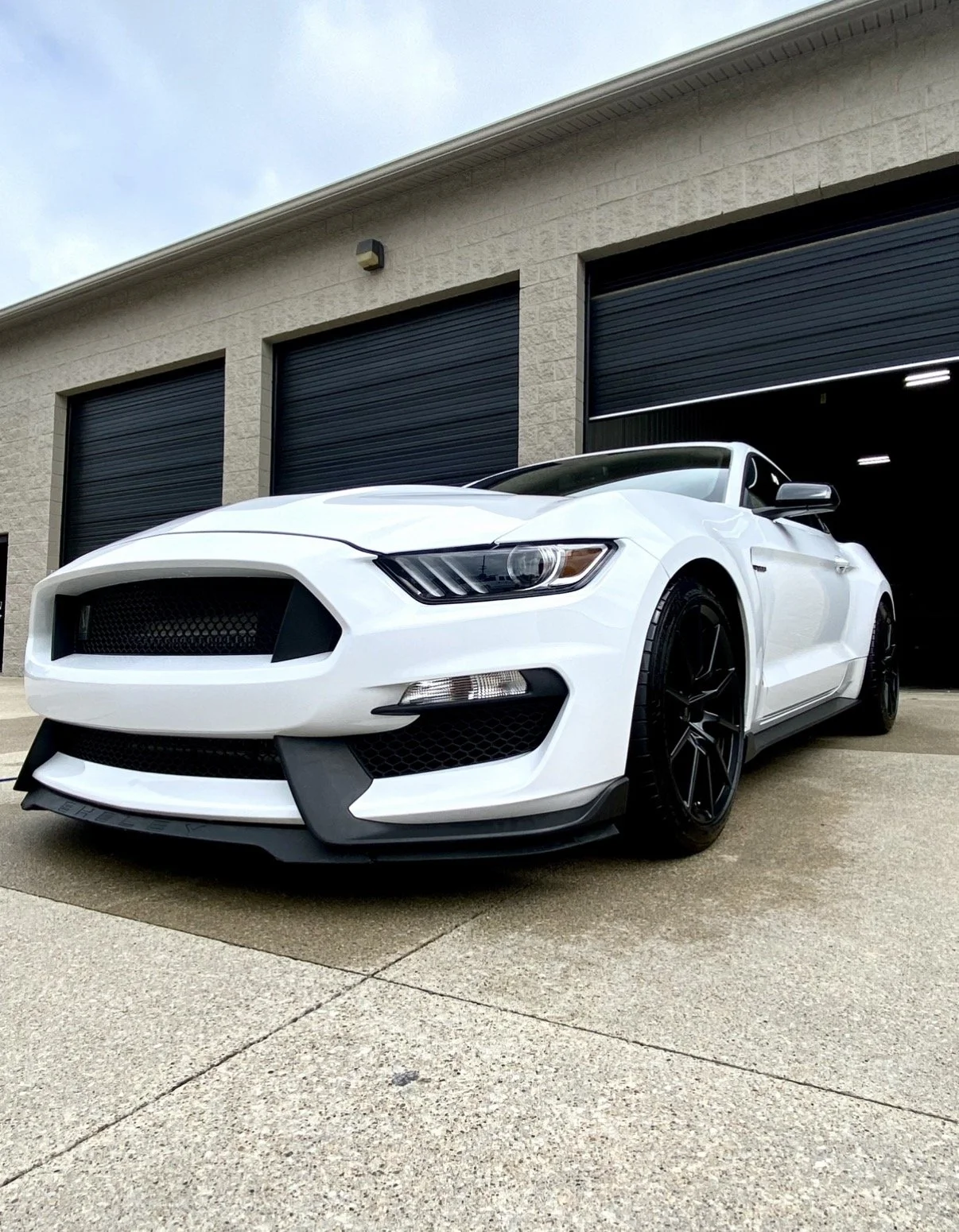 Full Exterior Detail Completed on this Shelby Ford Mustang
