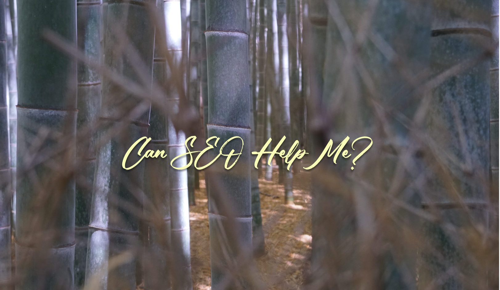 How Does SEO Help My Business?