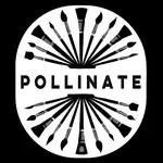 Pollinate Studios