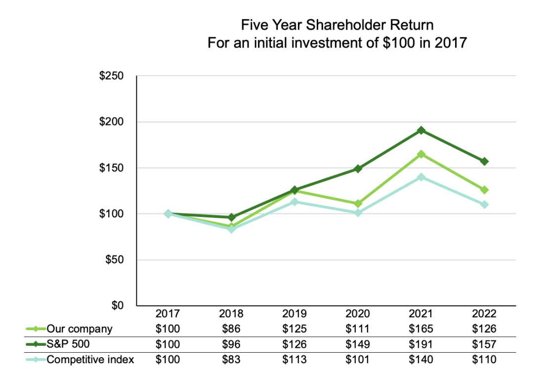 Line graph showing five-year shareholder return from 2017 to 2022 for three categories: Our company, S&P 500, and Competitive index, with values in dollars.