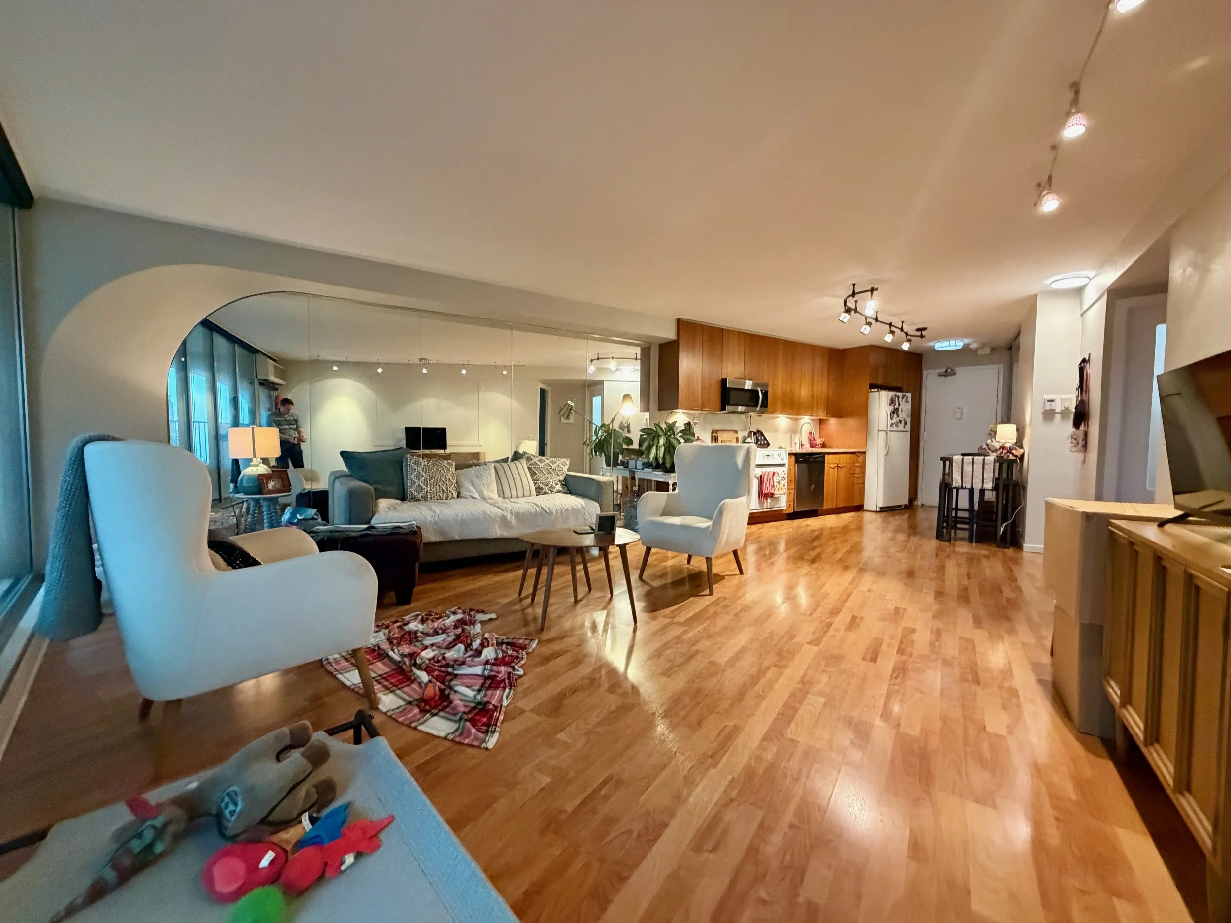 Living Room 1