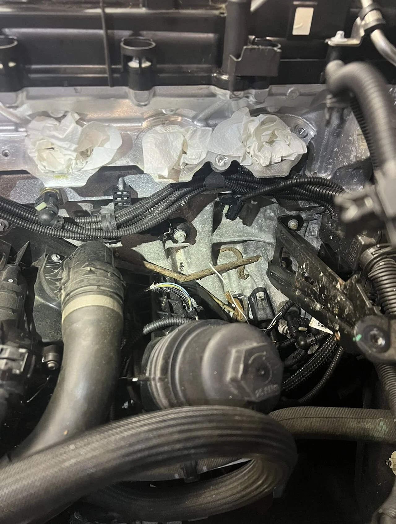bmw23.jpg
