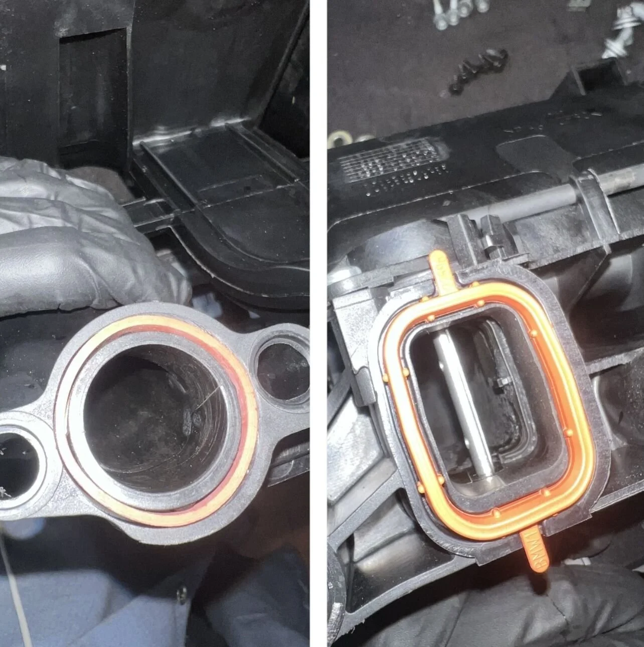 bmw21.jpg