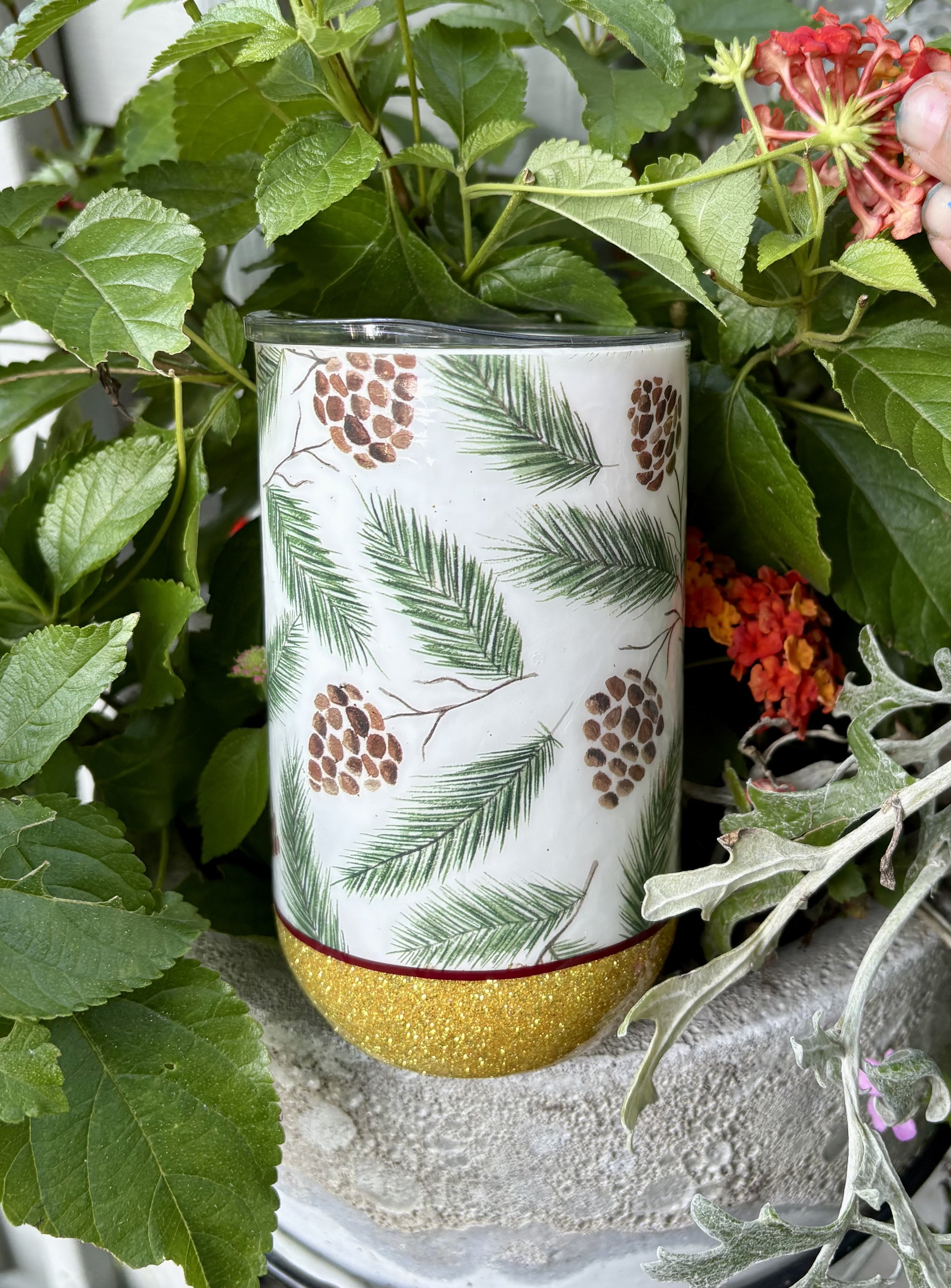 Acorns and evergreens