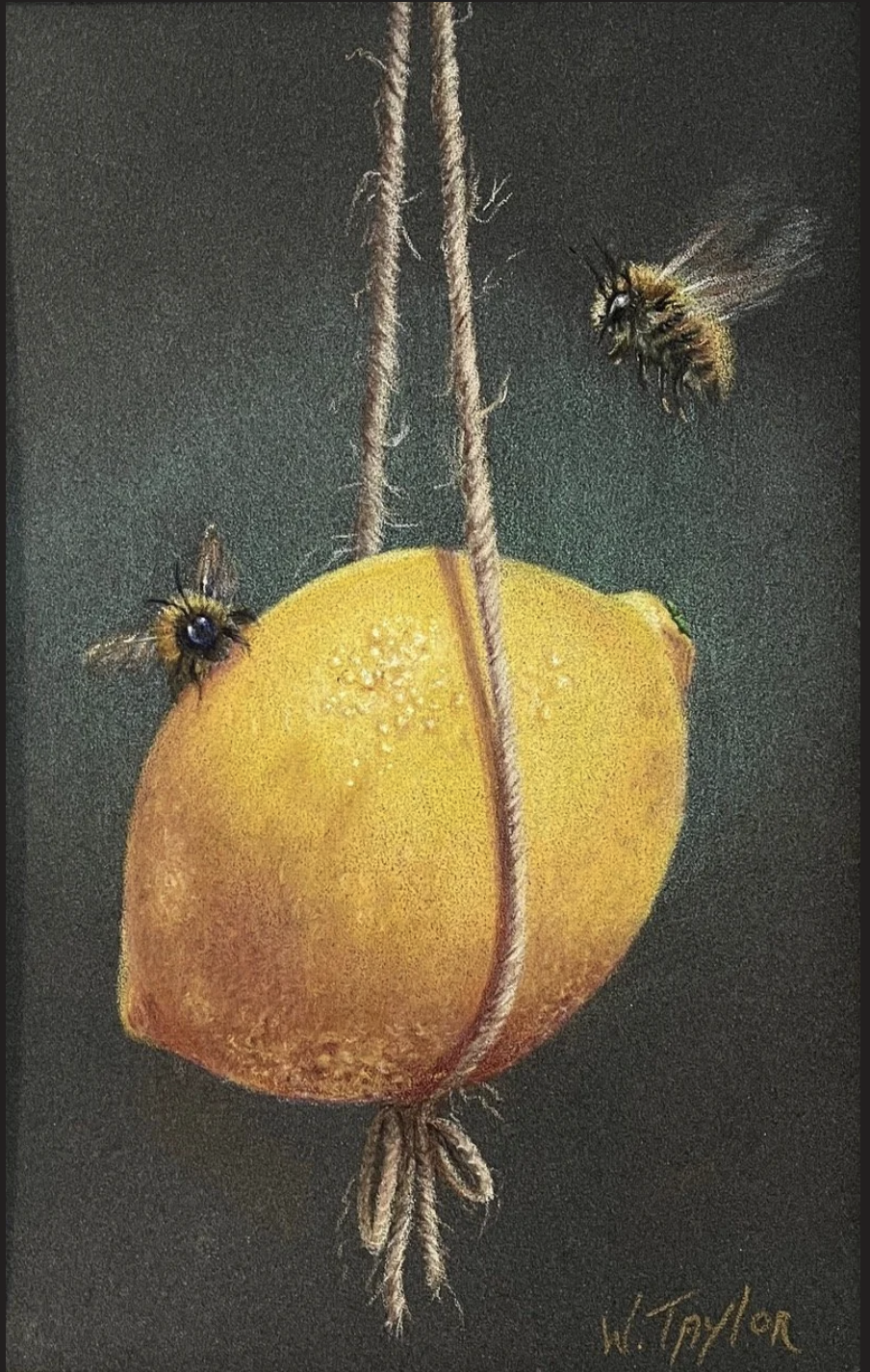 Wanda Taylor Fusion Fine Art