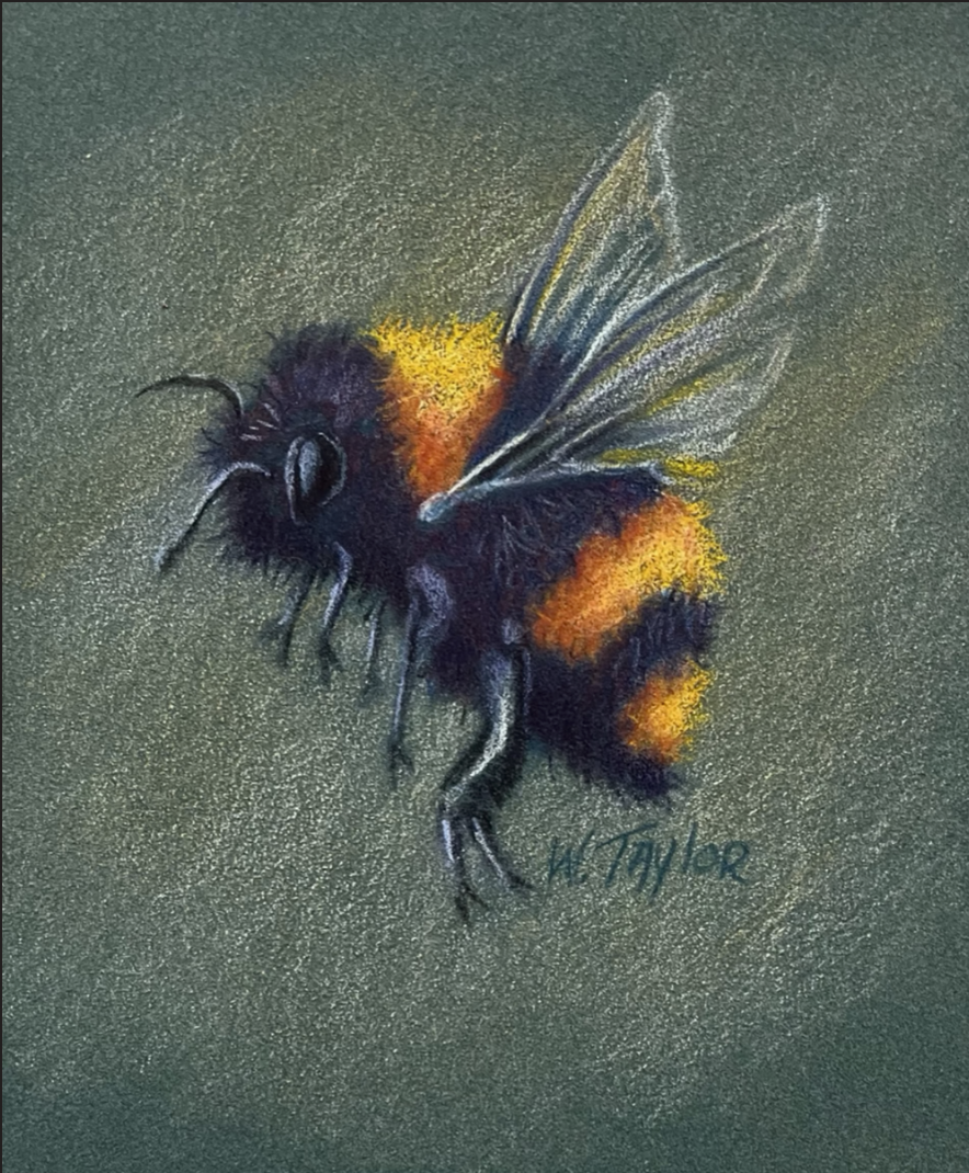 Wanda Taylor Fusion Fine Art