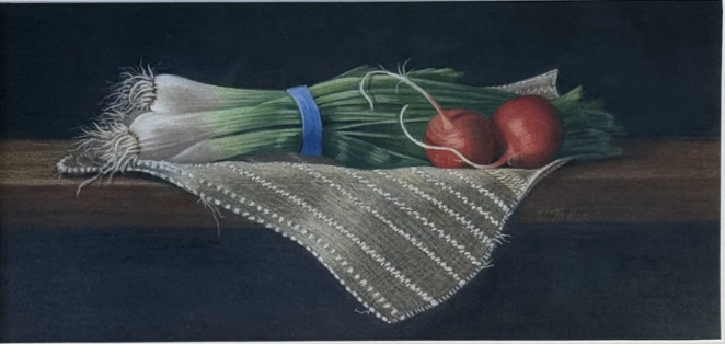 Wanda Taylor's pencil drawing of a bunch of green onions and two radishes resting on a striped cloth on a dark wooden surface - featured in the Fusion Fine Art gallery.