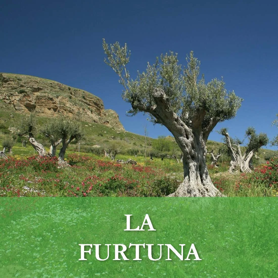 La Furtuna