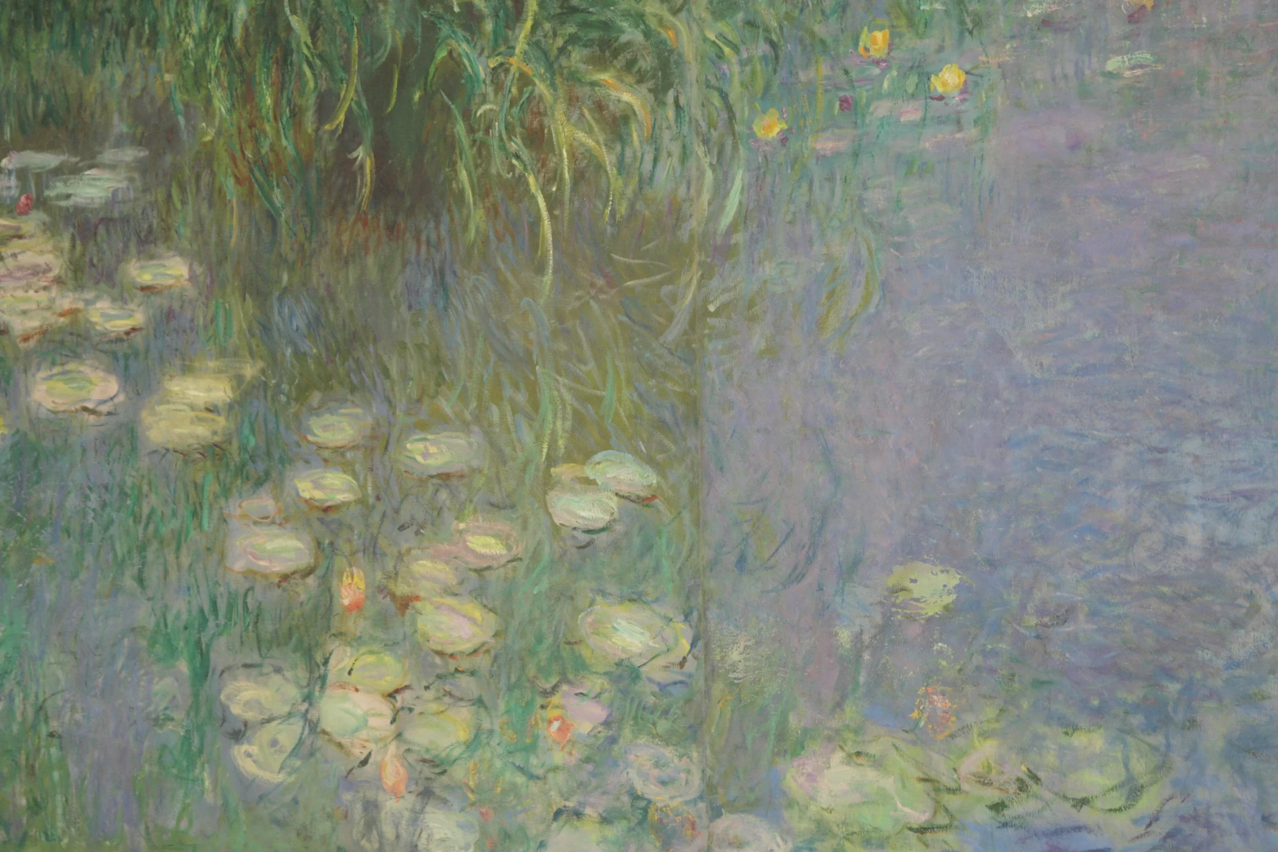 Painting of water lilies in a pond