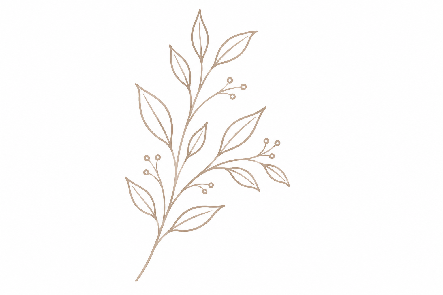 Line art drawing of a simple, stylized branch with leaves and small berries on a white background.